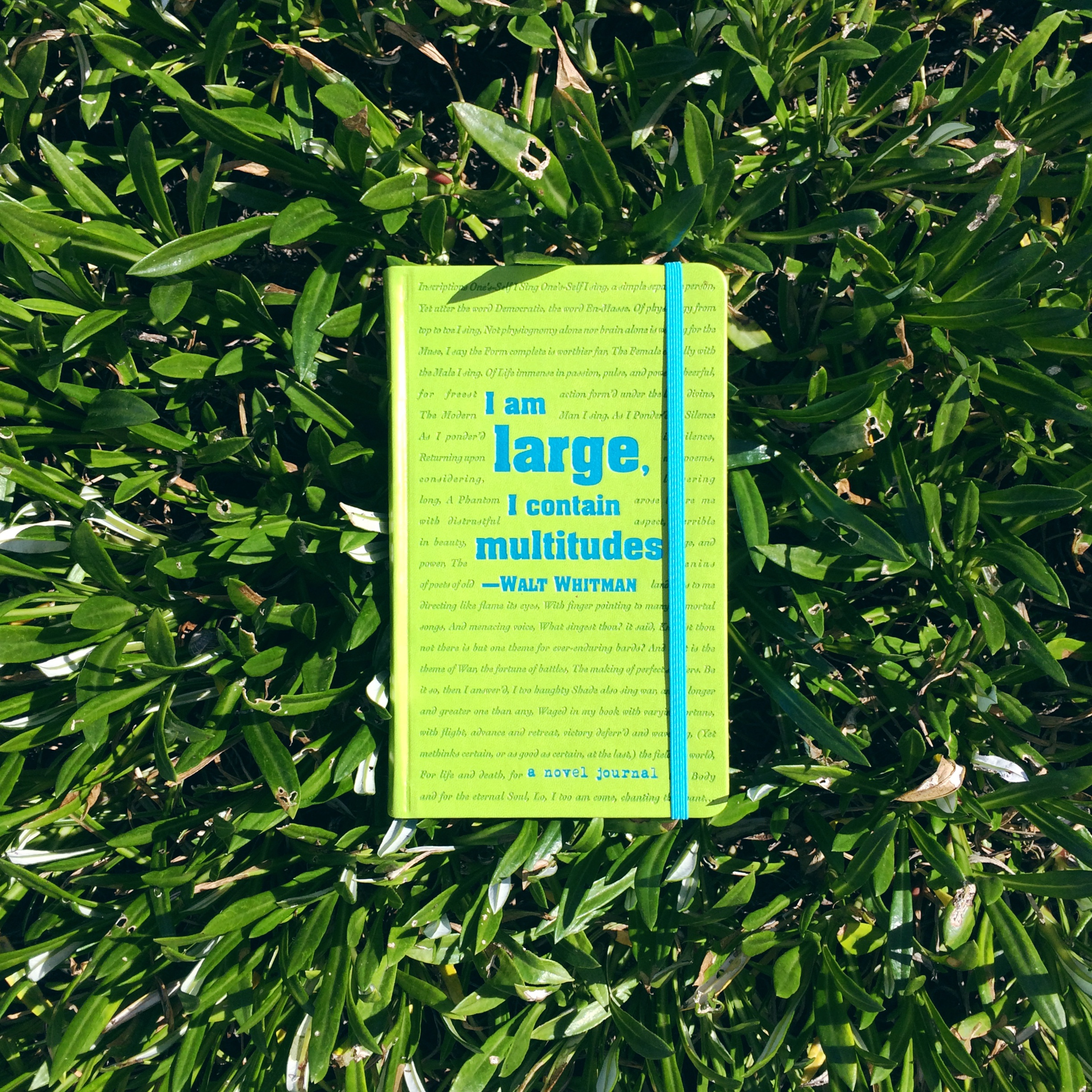 Leaves of Grass CNJ