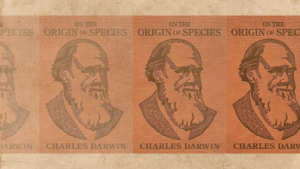 All the Things That Darwin Didn’t Do